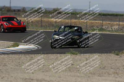 media/May-10-2025-Light Speed Track Events (Sat) [[c99cd30d1b]]/Purple Group/Turn 9/